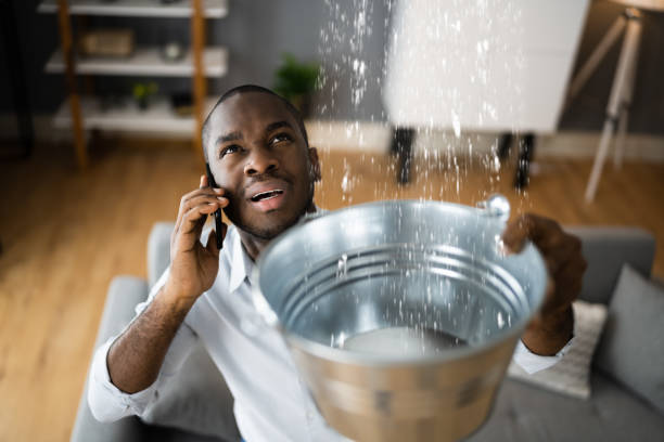 Best Professional water damage repair  in Bristol, TN