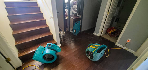 Best Mold removal after water damage  in Bristol, TN