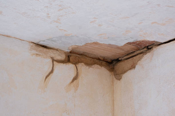 Best Flood restoration services  in Bristol, TN