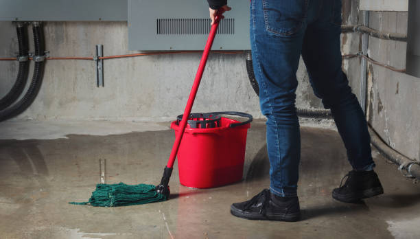 Best Water damage restoration near me  in Bristol, TN