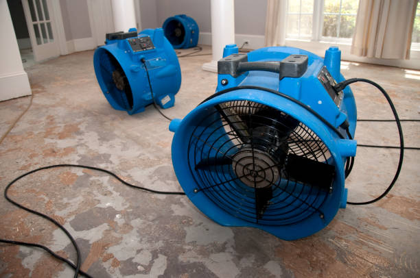 Best Residential water damage restoration  in Bristol, TN