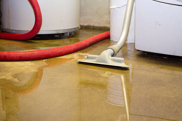 Best Ceiling water damage repair  in Bristol, TN
