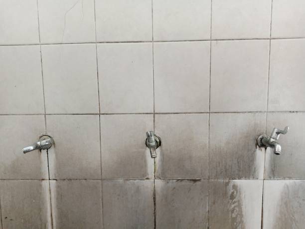 Best Basement water damage restoration  in Bristol, TN